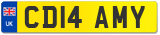 CD14 AMY