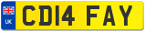 CD14 FAY