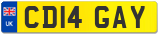 CD14 GAY