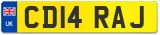 CD14 RAJ