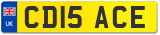 CD15 ACE