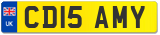 CD15 AMY