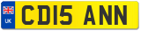 CD15 ANN