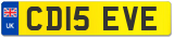 CD15 EVE