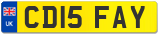 CD15 FAY