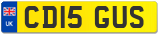 CD15 GUS