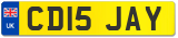 CD15 JAY