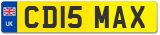 CD15 MAX