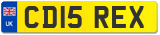 CD15 REX