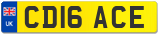 CD16 ACE