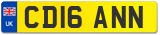 CD16 ANN