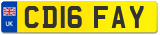 CD16 FAY