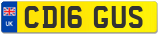 CD16 GUS