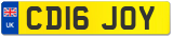 CD16 JOY