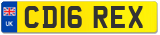 CD16 REX