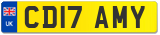 CD17 AMY