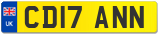 CD17 ANN