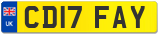 CD17 FAY