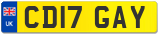 CD17 GAY