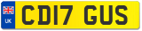 CD17 GUS