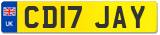 CD17 JAY