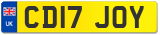 CD17 JOY