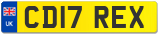 CD17 REX