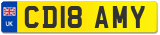 CD18 AMY