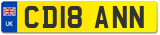 CD18 ANN