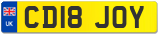 CD18 JOY