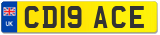 CD19 ACE