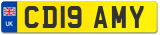 CD19 AMY