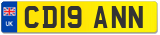 CD19 ANN