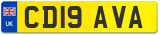 CD19 AVA