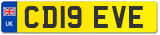 CD19 EVE