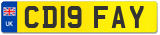 CD19 FAY