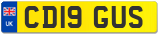 CD19 GUS