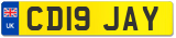 CD19 JAY