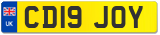 CD19 JOY