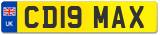 CD19 MAX
