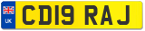 CD19 RAJ