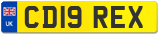 CD19 REX