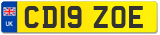 CD19 ZOE