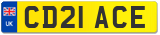 CD21 ACE