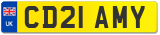 CD21 AMY