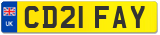 CD21 FAY