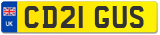 CD21 GUS