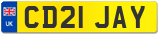 CD21 JAY