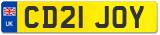 CD21 JOY