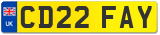 CD22 FAY